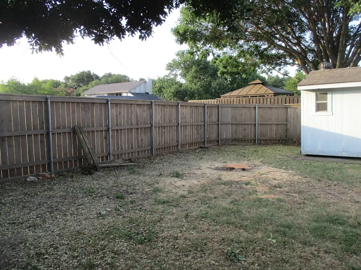 Cleared yard after professional tree removal in Onset